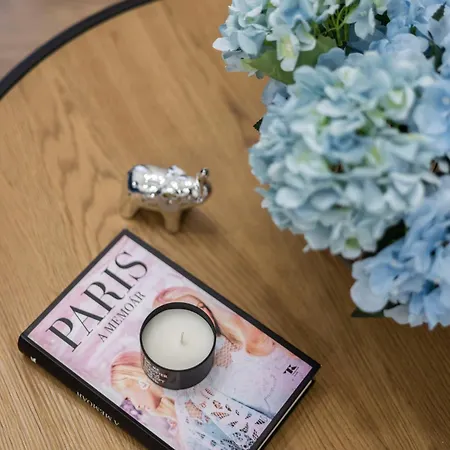 Lejlighed Deluxe Charming Downtown In Dob St' Budapest